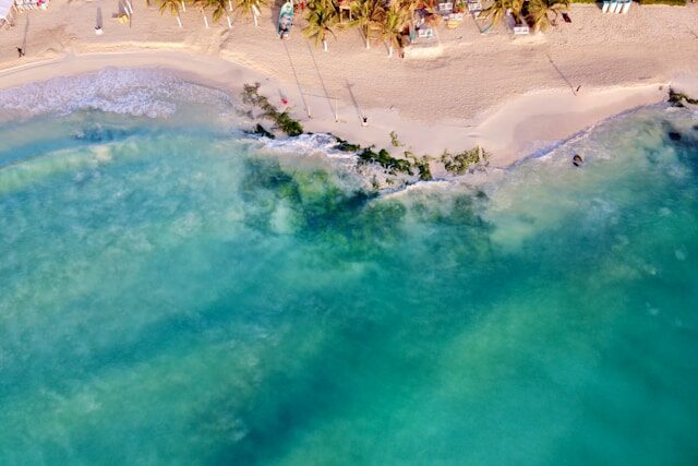 aerial view of beach in playa del carmen, mexico